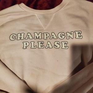 Pale Pink Champagne Sweater